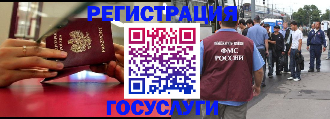 прописка поиск в Коле